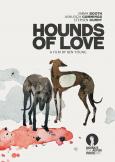 Hounds of Love