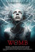 The Womb
