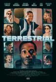 Terrestrial (2026/II) Terrestrial (2026/II)