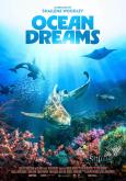 Ocean Dreams Ocean Dreams