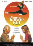 The Next Karate Kid The Next Karate Kid