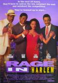 A Rage in Harlem