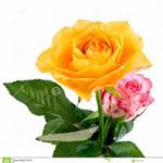 Ramesh
